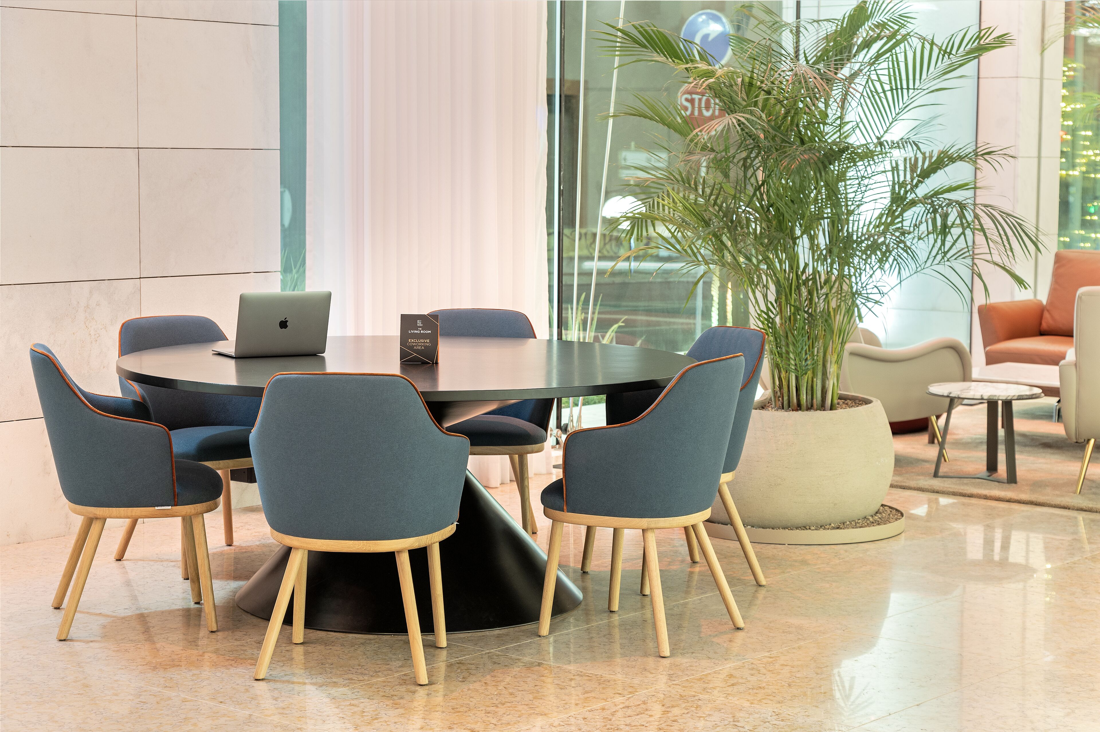 A conference room with a round table, six chairs, a laptop, and a large potted plant.