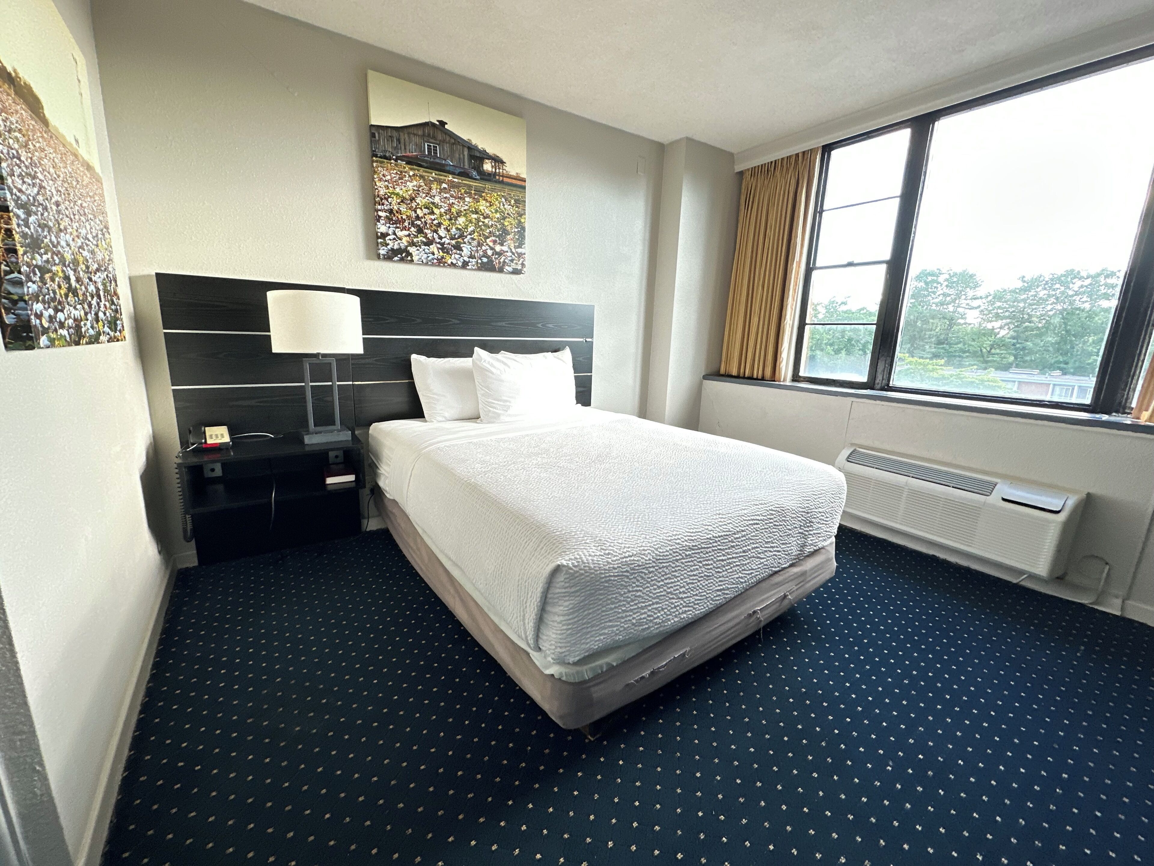 Un cuarto de hotel con una cama grande, una mesita de noche con lámpara, una ventana con cortinas y obras de arte en las paredes.