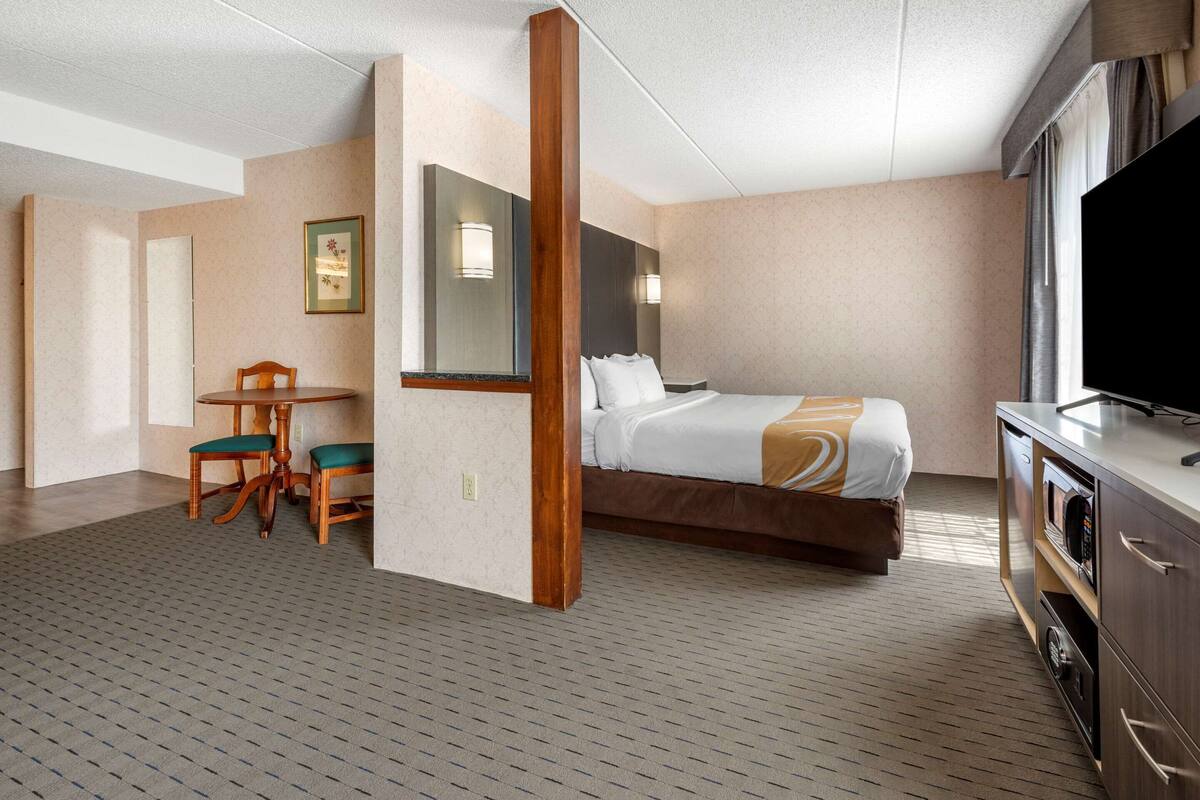 Une chambre d’hôtel équipée d’un lit, d’un bureau avec une chaise, d’une télévision et d’un four à micro-ondes.