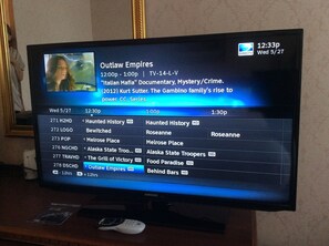 Vista des de l'habitació