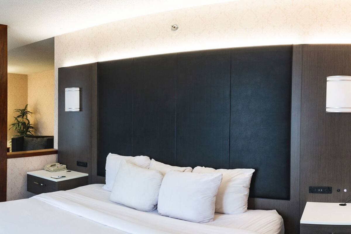 Une chambre d’hôtel avec un lit, un bureau, un canapé vert, une table de chevet et une lampe fixée au mur.