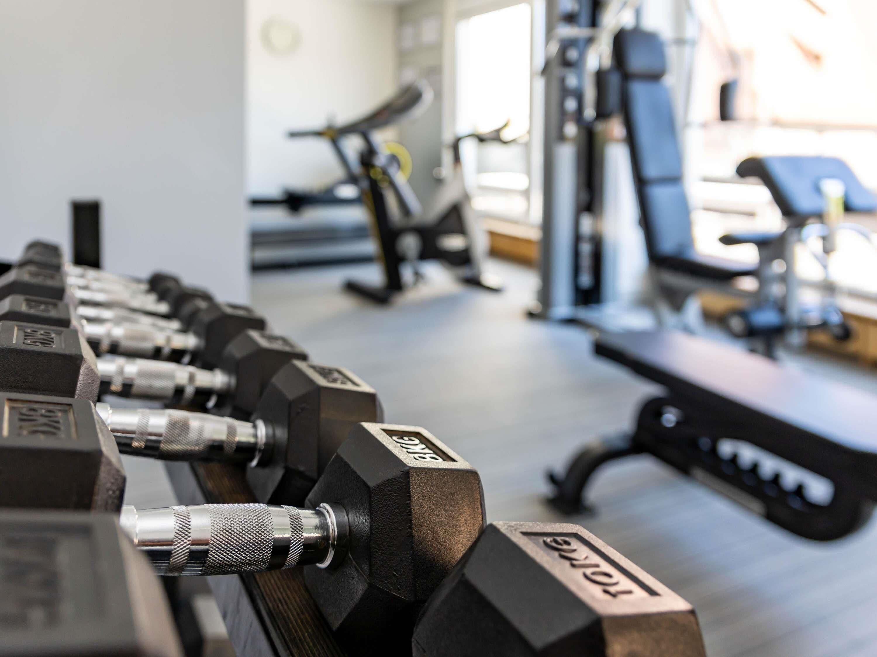 A row of dumbbells in a gym with exercise equipment in the background.