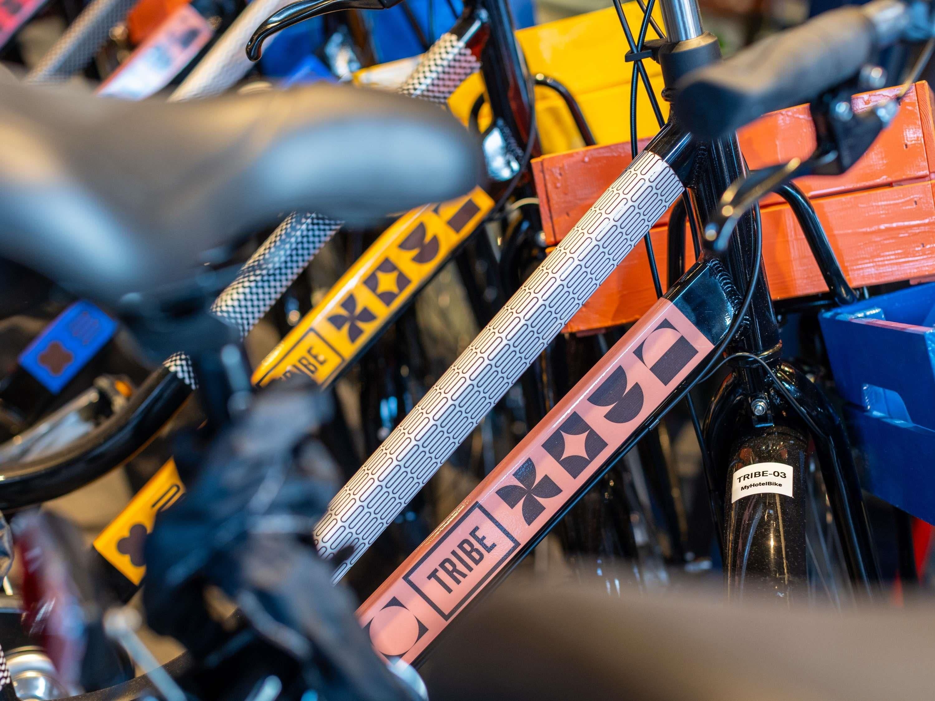 A close-up of a bicycle with a 'TRIBE' label and a 'TRIBE-03' tag.