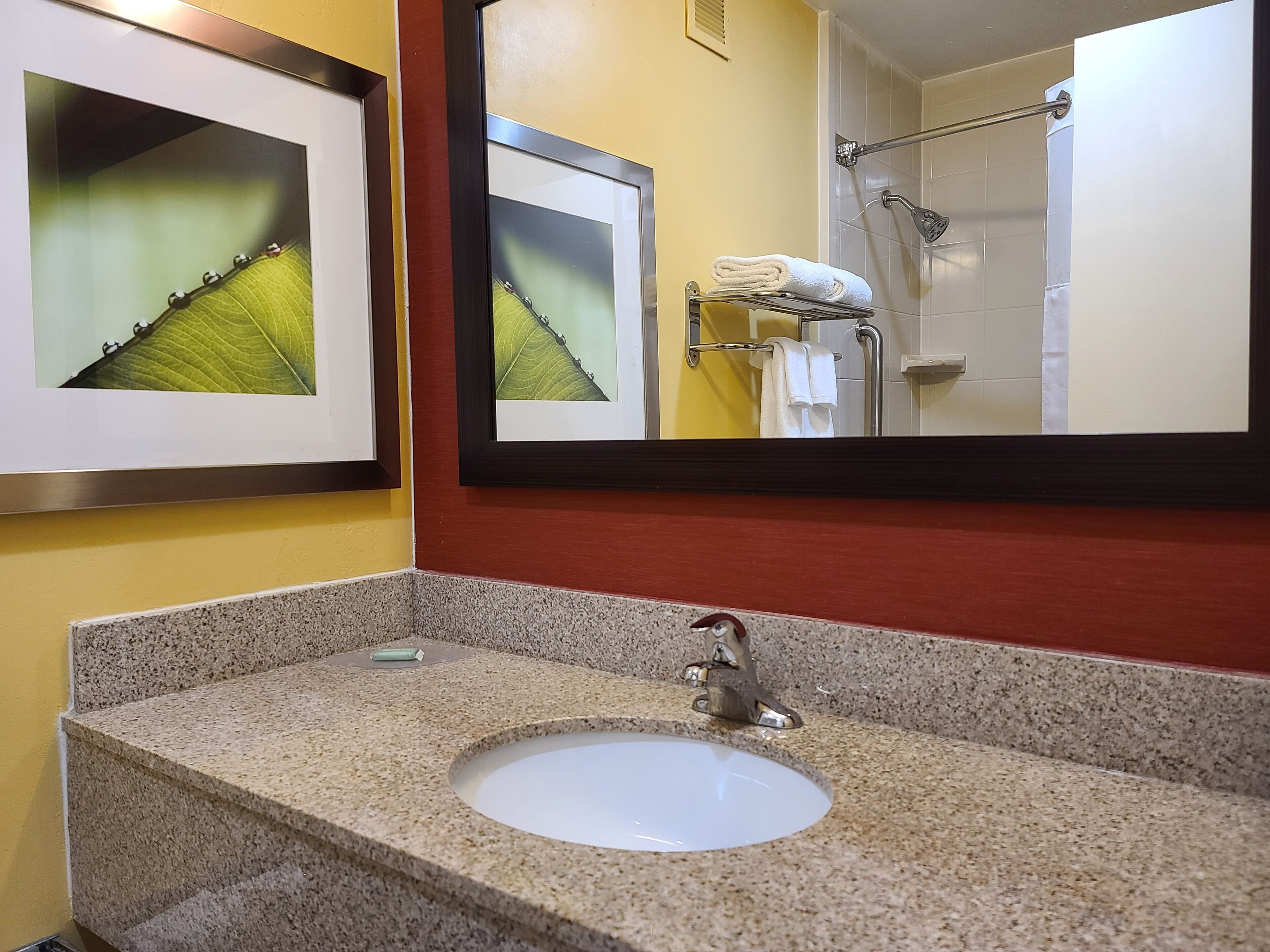 combined shower/bathtub, free toiletries, hair dryer, towels