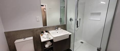 Un baño moderno con ducha envuelta en vidrio, un lavamanos blanco y un inodoro.