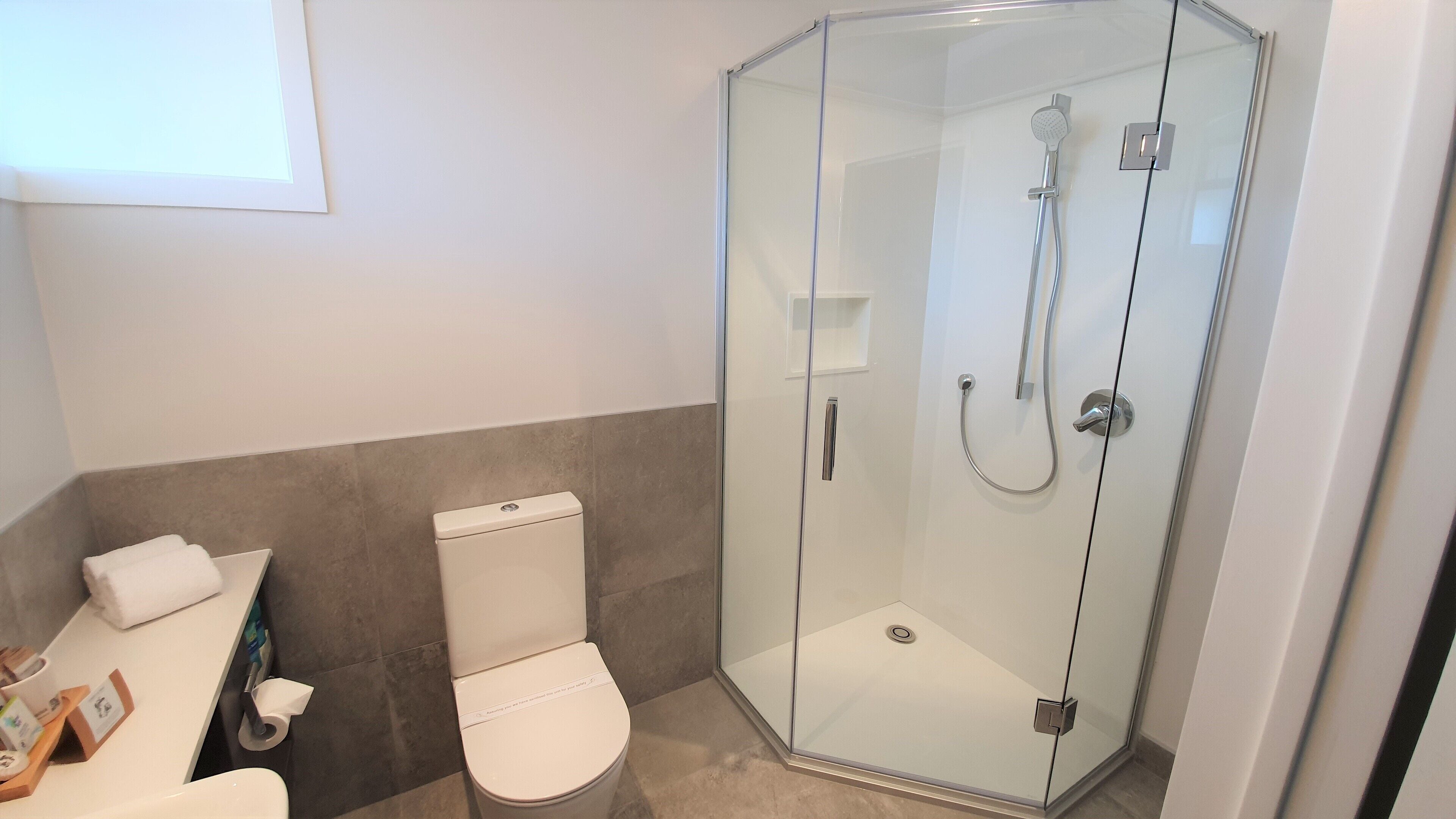 A modern bathroom with a glass-enclosed shower, a toilet, and a sink with toiletries.