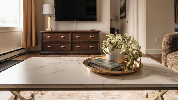 A living room with a marble coffee table, a potted plant, and a bookshelf. - Aurora Inn (Kingston)