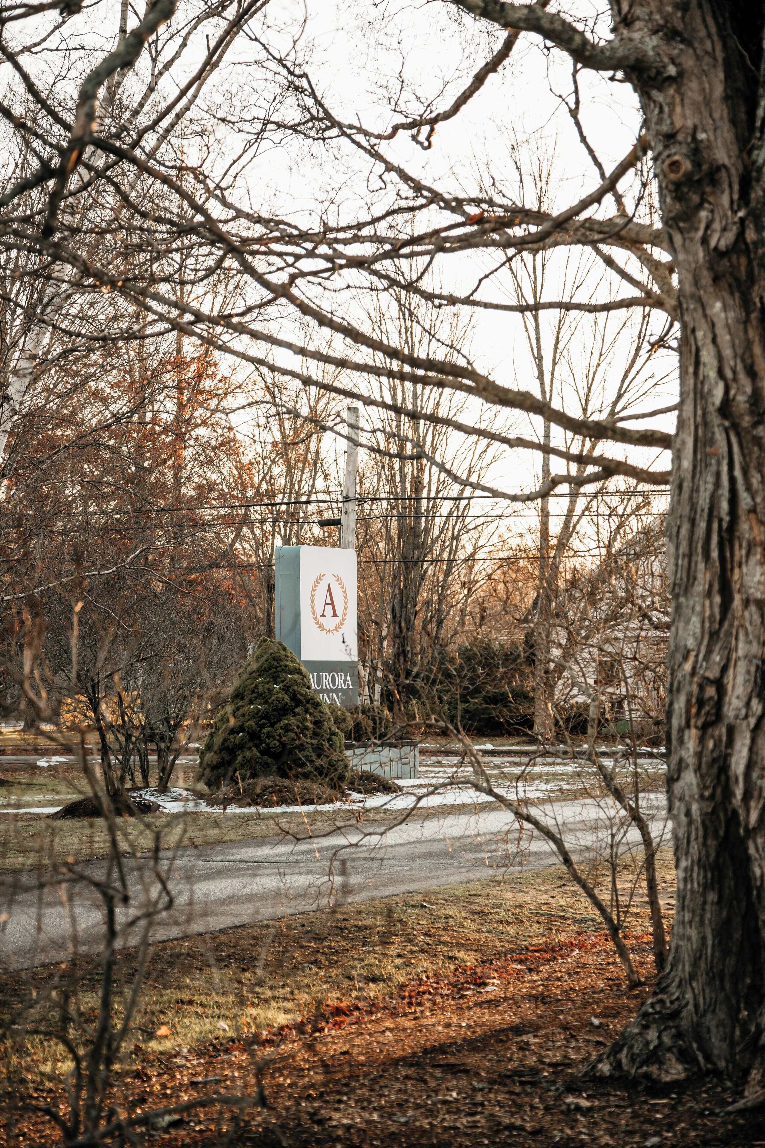 A sign with the letter 'A' and the name 'Aurora Inn' in a wooded area with bare trees and a snow-covered ground.