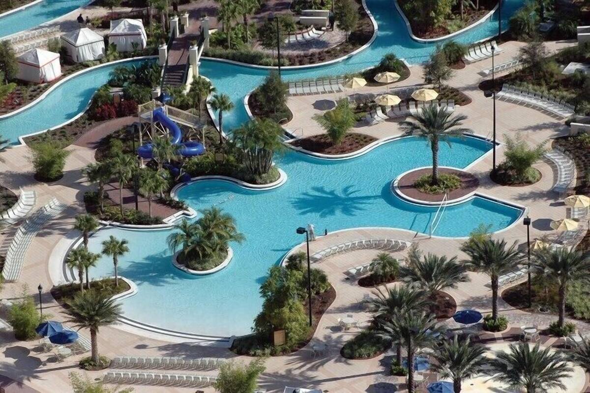 A large swimming pool with multiple sections and palm trees.