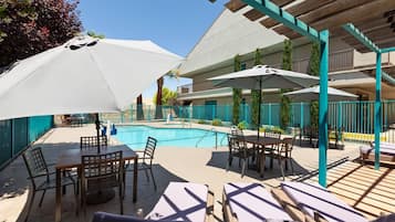 Seasonal outdoor pool, pool loungers