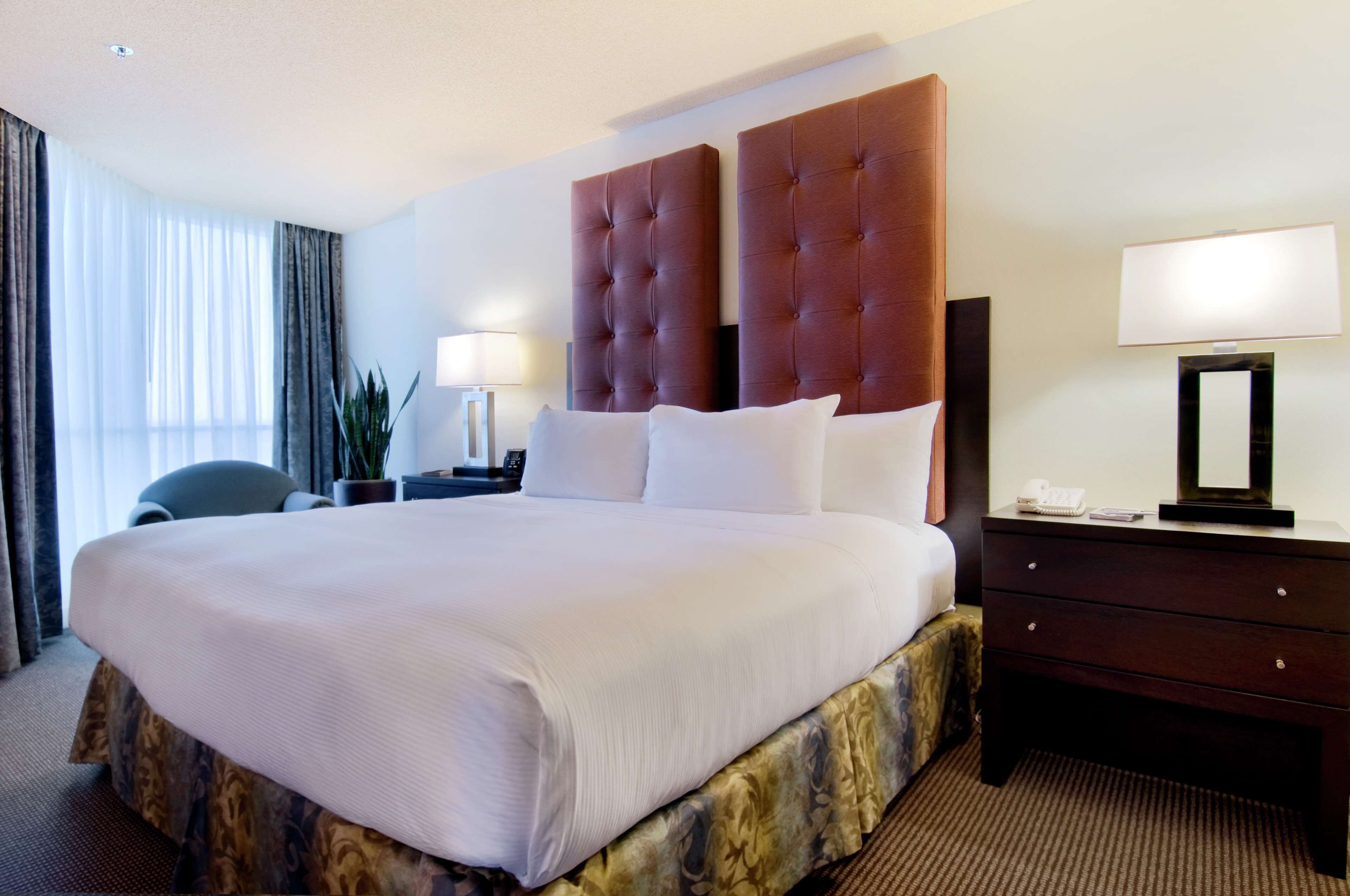 A hotel room with a large bed, a nightstand with a lamp, a chair, and a potted plant.