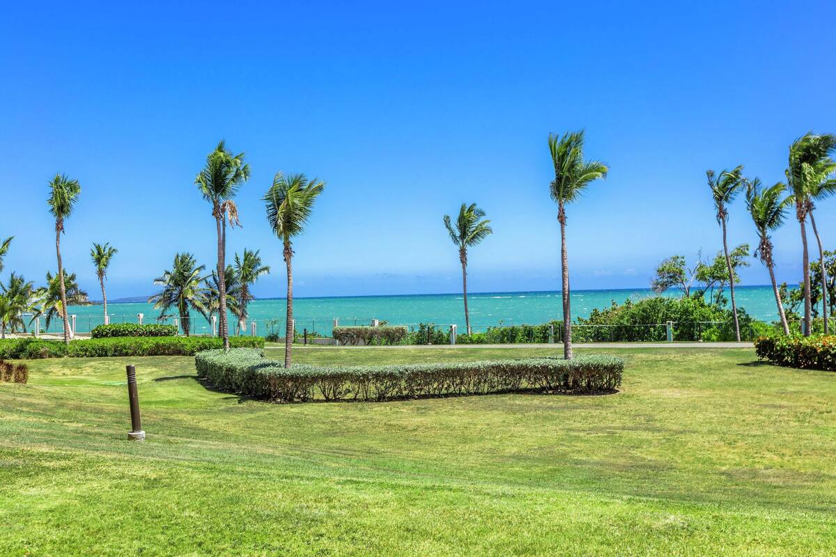 Un área con césped, palmeras y vista al océano.