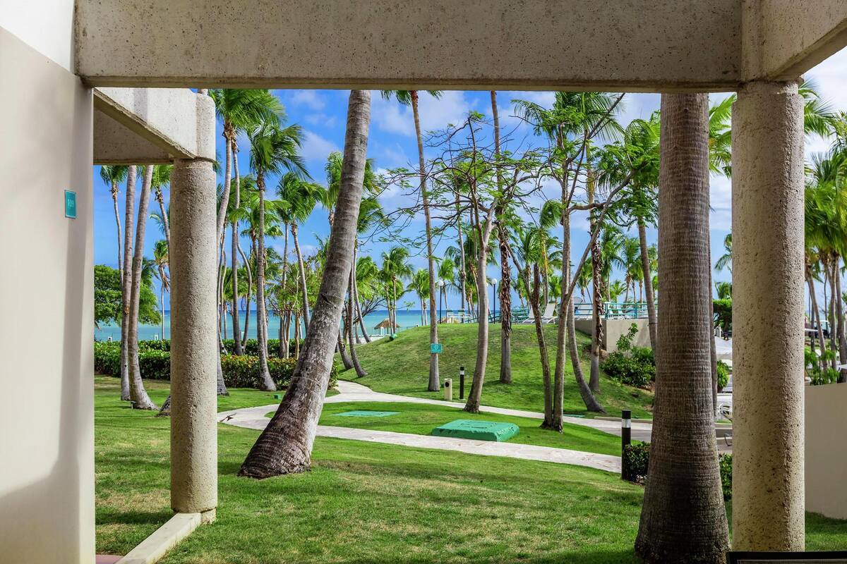Vista a través de una zona cubierta con palmeras, un sendero y una zona verde que conduce a una playa.