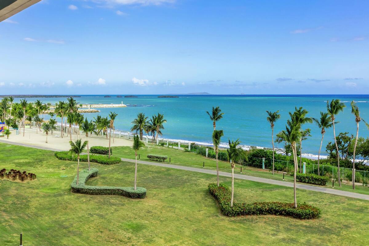 Vista costera con un camino, palmeras y una playa.