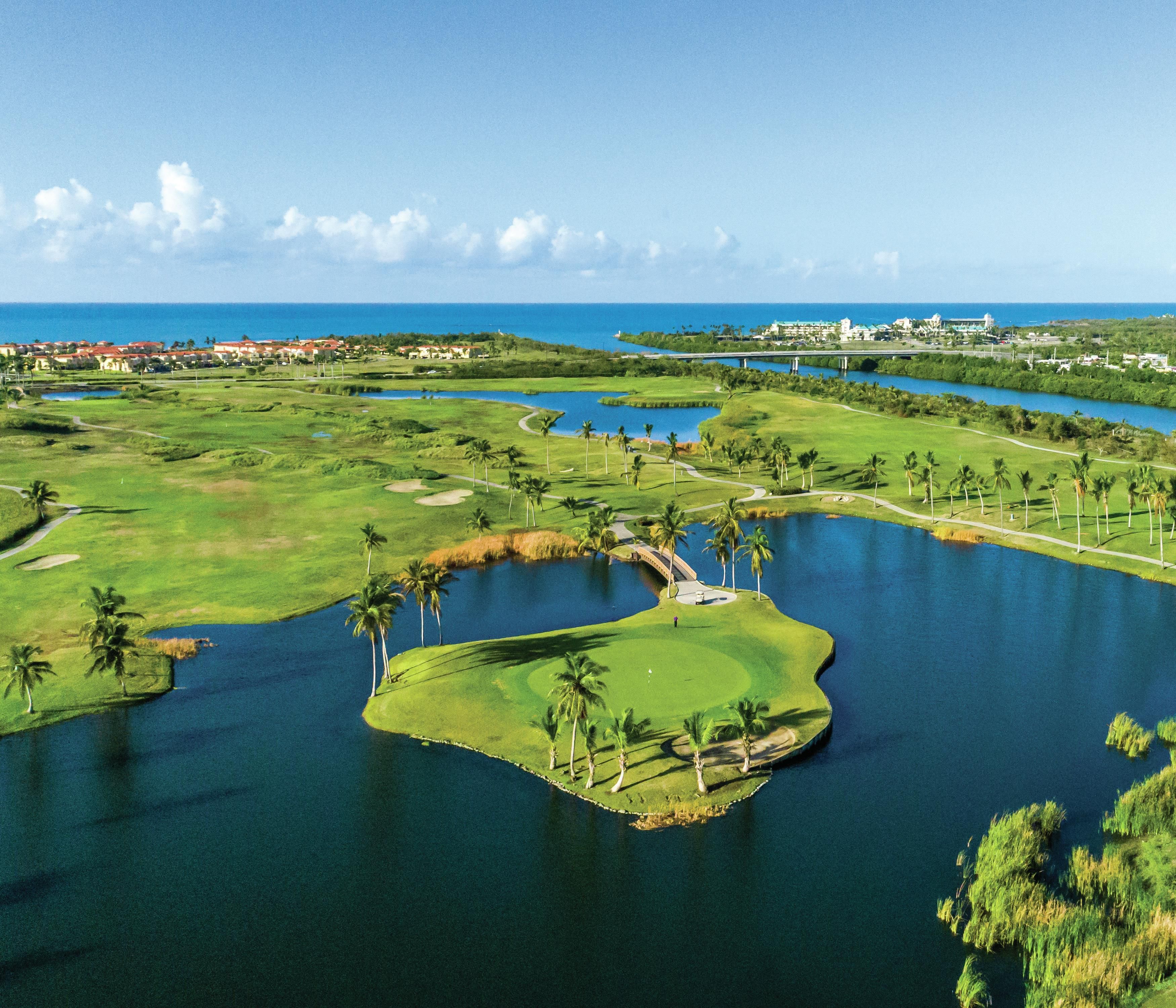 A golf course with water features, palm trees, and a bridge.