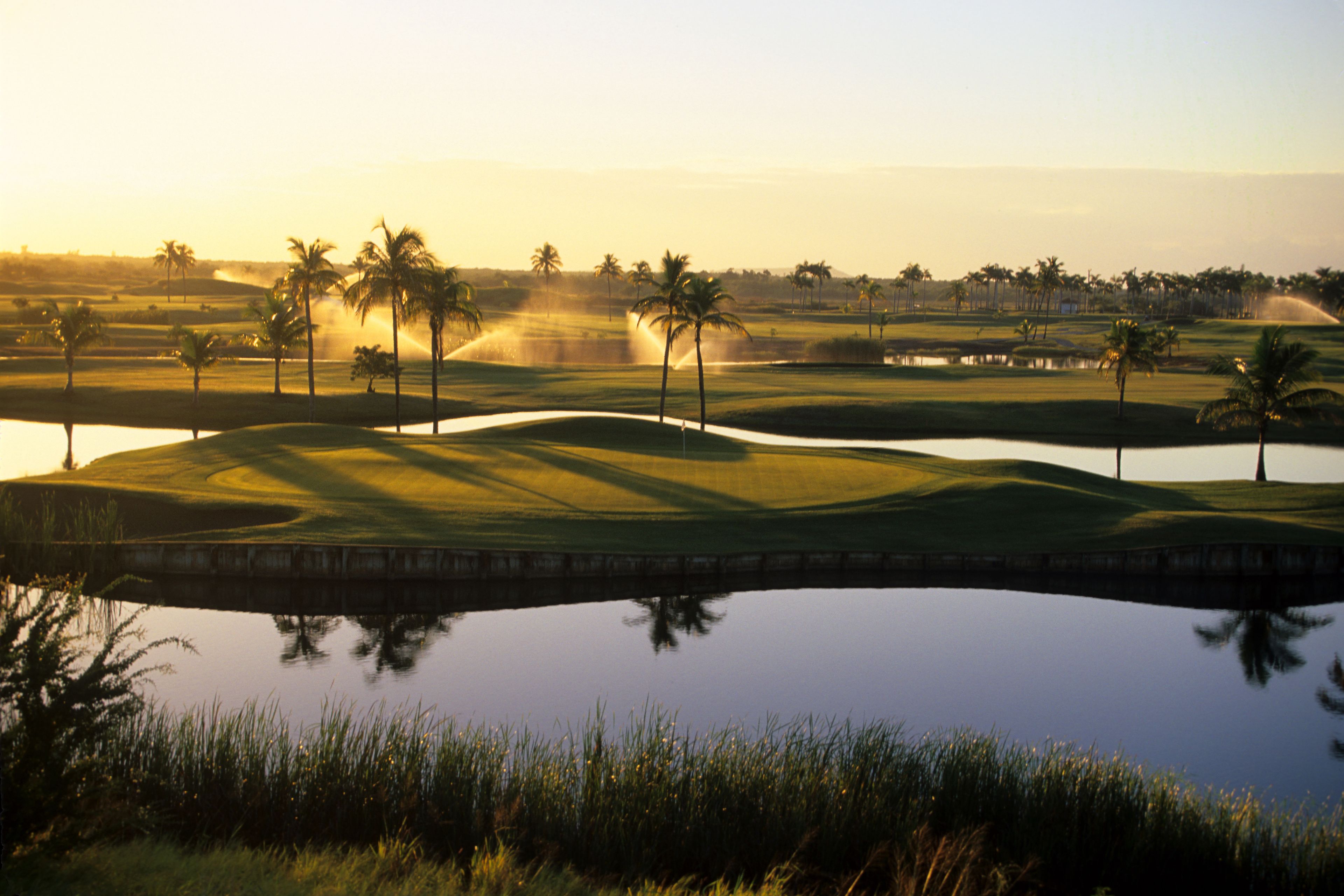A golf course with water hazards, palm trees, and a bridge.