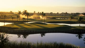A golf course with water hazards, palm trees, and a bridge.
