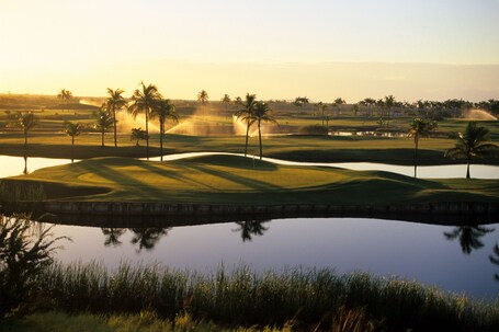 Hilton Ponce Golf Casino Resort - Image 61