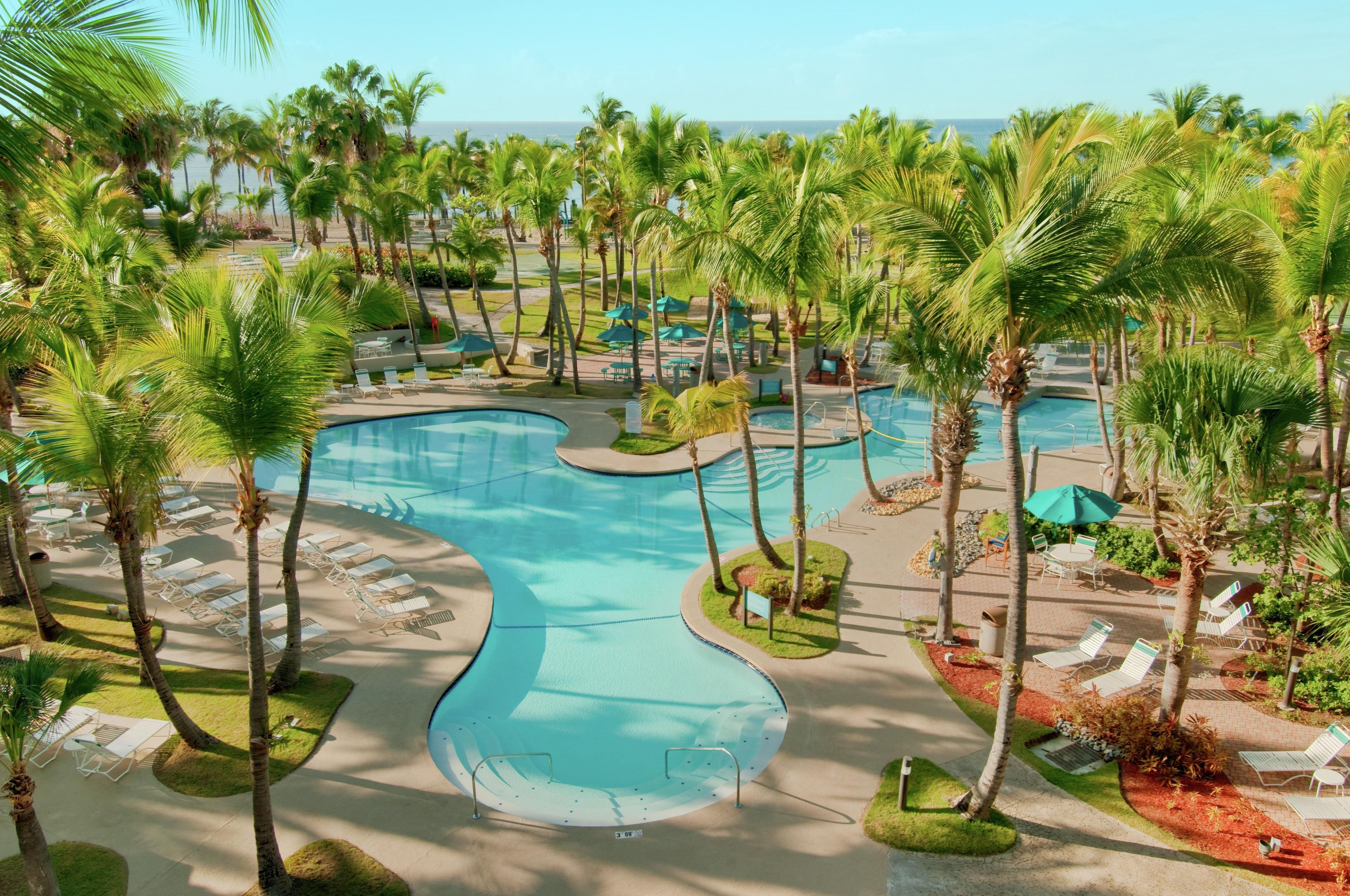Un complexe hôtelier doté d’une grande piscine, de palmiers et de chaises longues.
