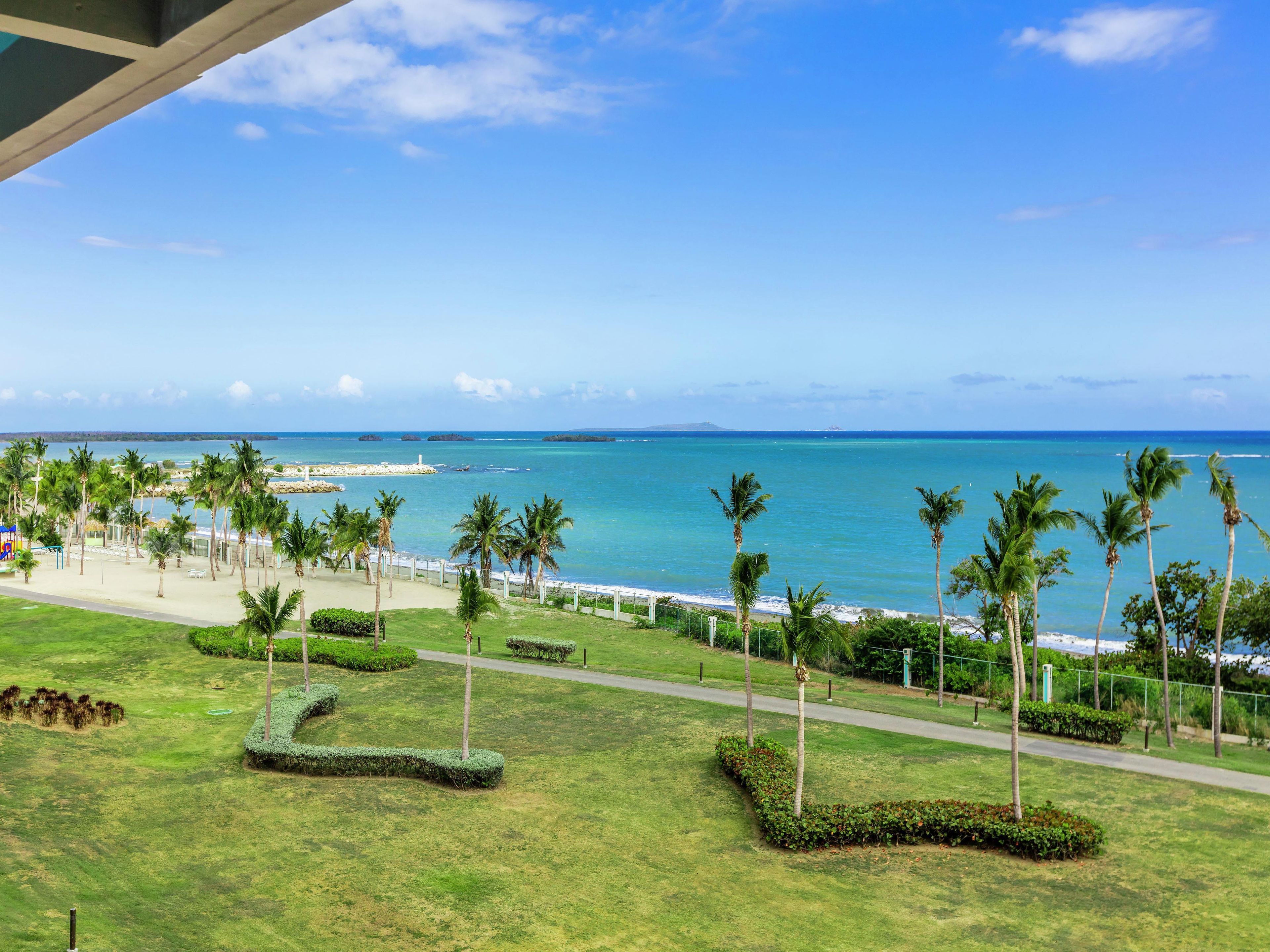 A coastal view with a pathway, palm trees, and a beach.