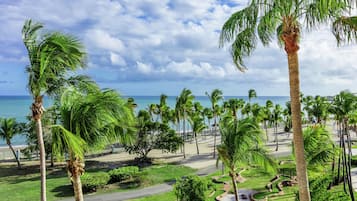 Studio Suite Terrace Room with 1 King Bed | View from room