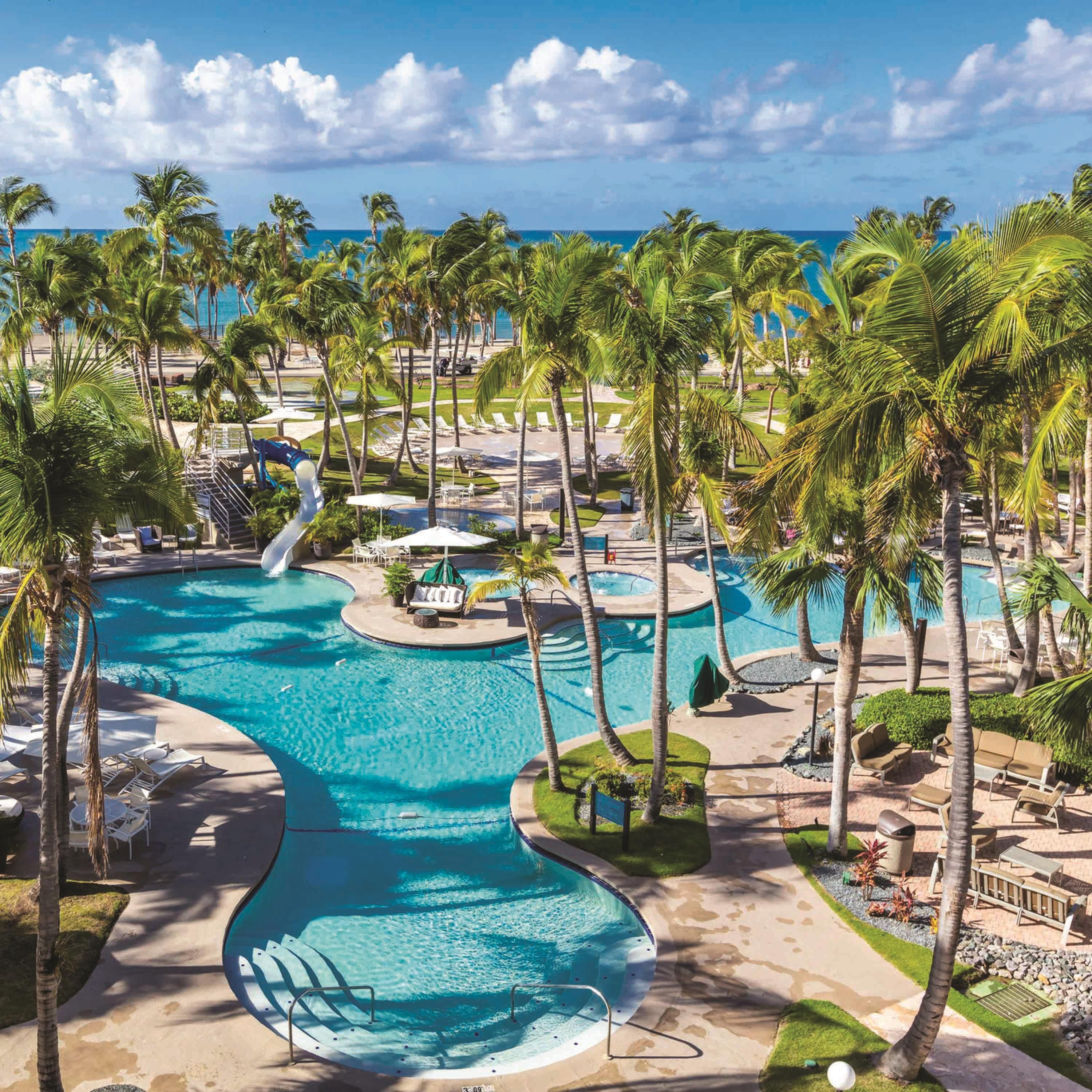 A resort with a large, winding pool surrounded by palm trees and lounge chairs.