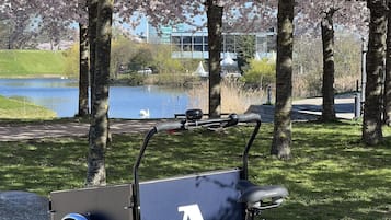 A stationary bicycle with a storage box, parked on a gravel path in a park with cherry blossoms and a lake in the background.