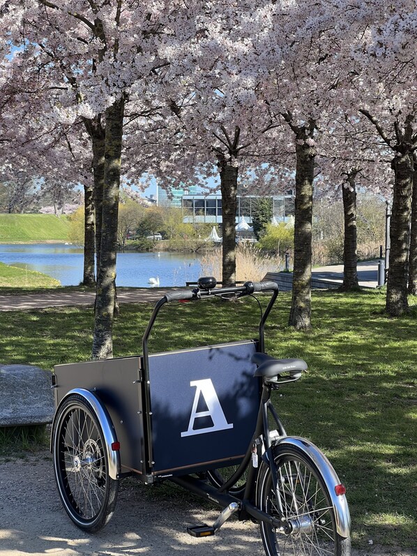 Una bicicleta estática con una caja de almacenamiento, estacionada sobre un sendero de grava en un parque con cerezos en flor y un lago al fondo.