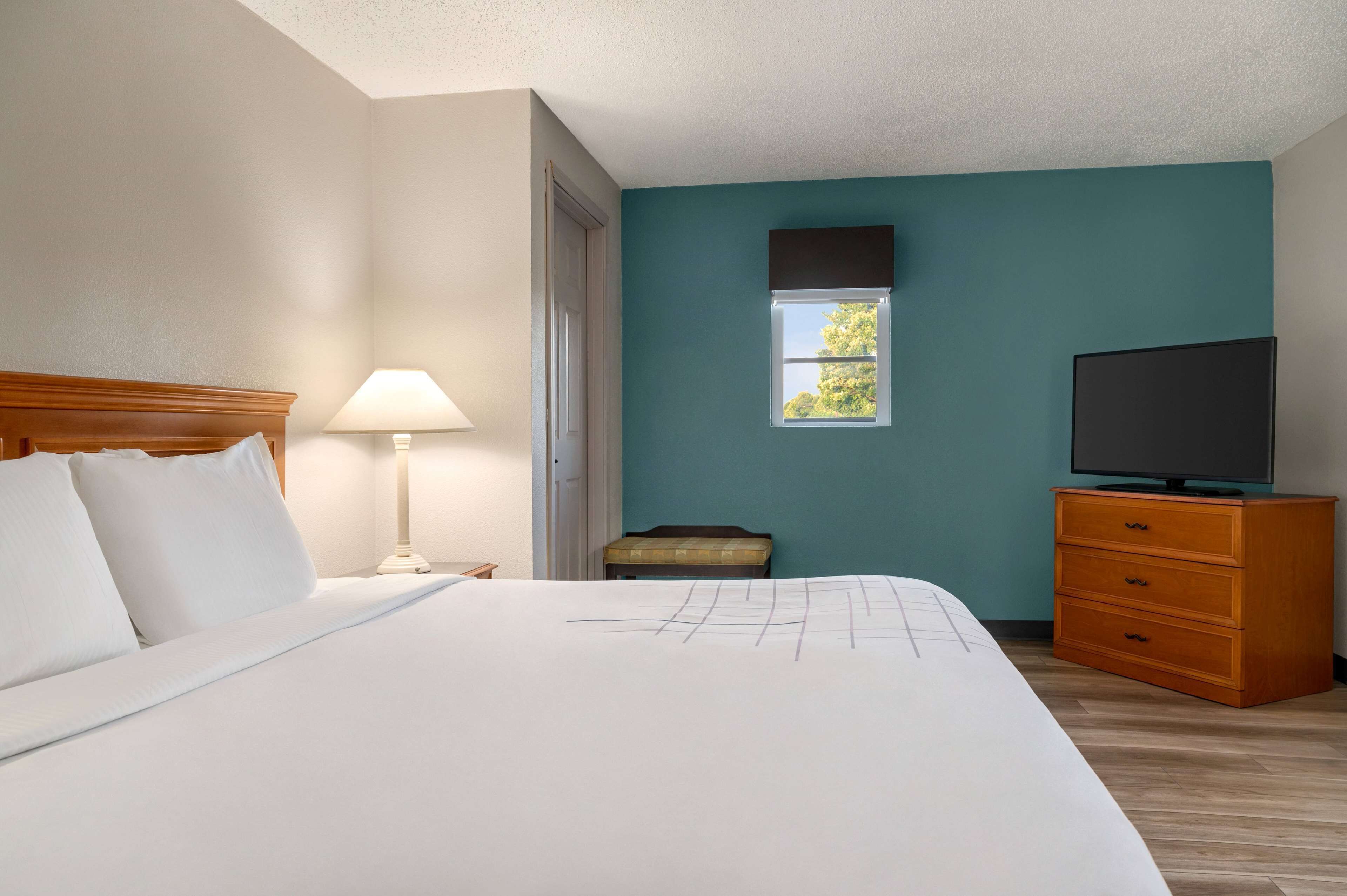 A hotel room with a large bed, a bedside lamp, a wooden dresser, a television, and a window with a view of trees.