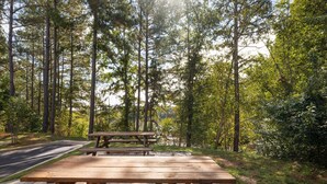 A picnic table in a forested area with a paved path nearby.