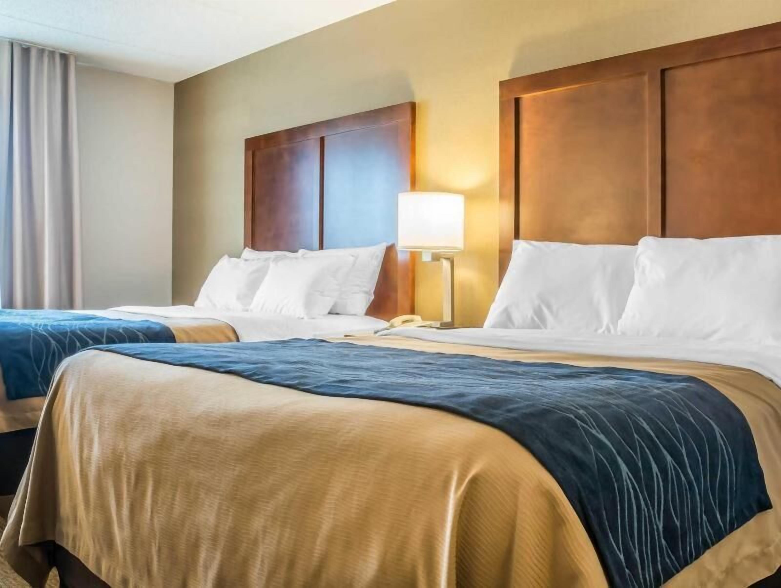 Una scrivania, postazione laptop, ferro/asse da stiro, Wi-Fi gratuito