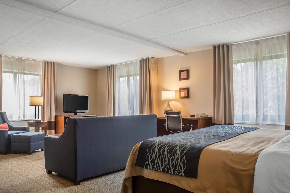 suite, 1 king bed with sofa bed, accessible, non smoking (upgrade) | desk, laptop workspace, iron/ironing board, free wifi