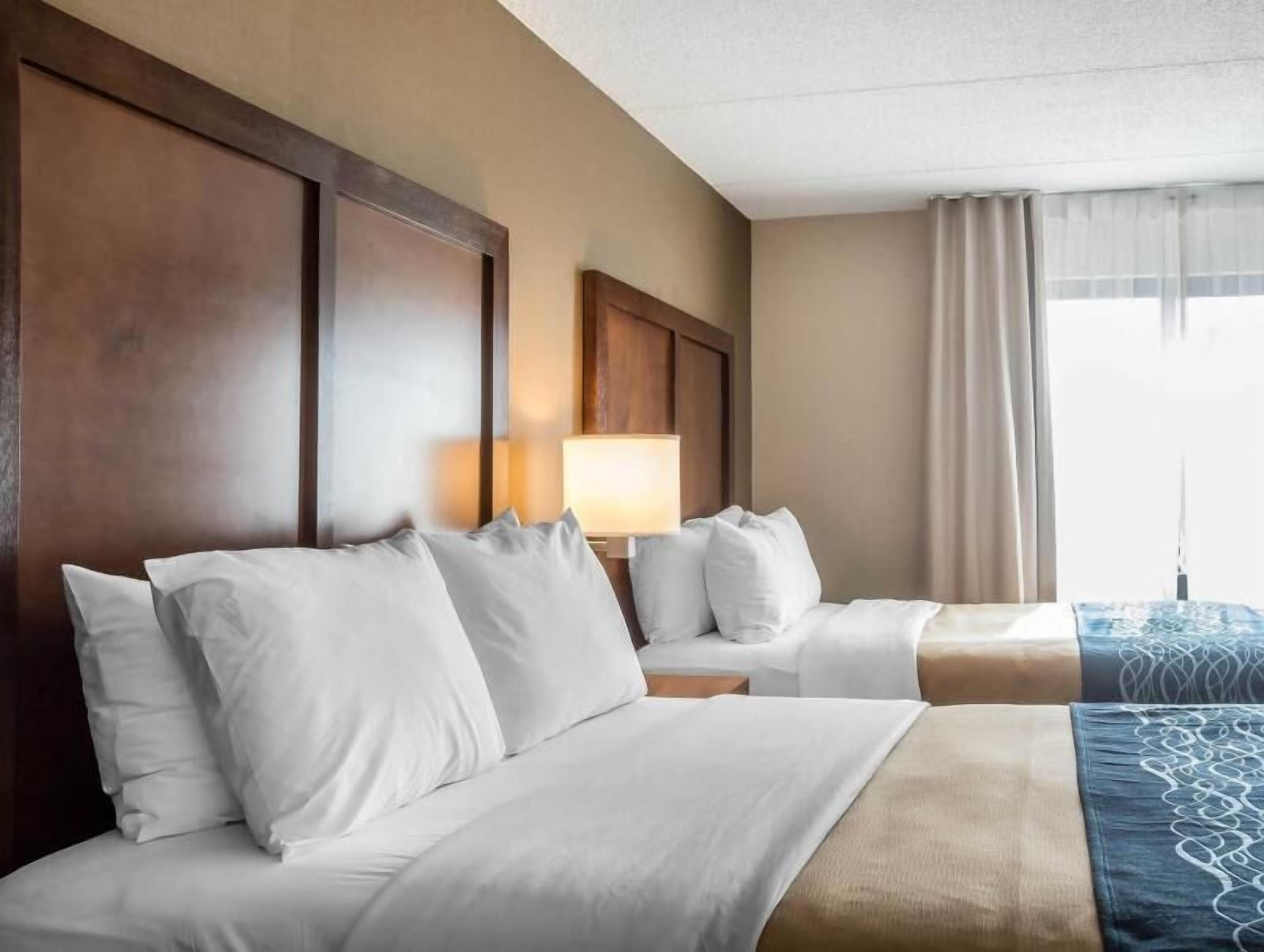 Una scrivania, postazione laptop, ferro/asse da stiro, Wi-Fi gratuito