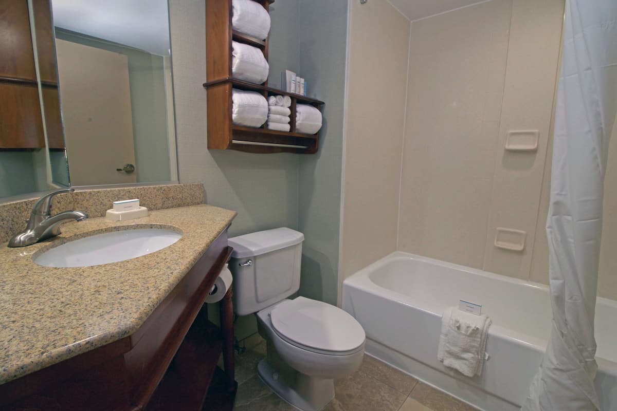 combined shower/bathtub, free toiletries, hair dryer, towels