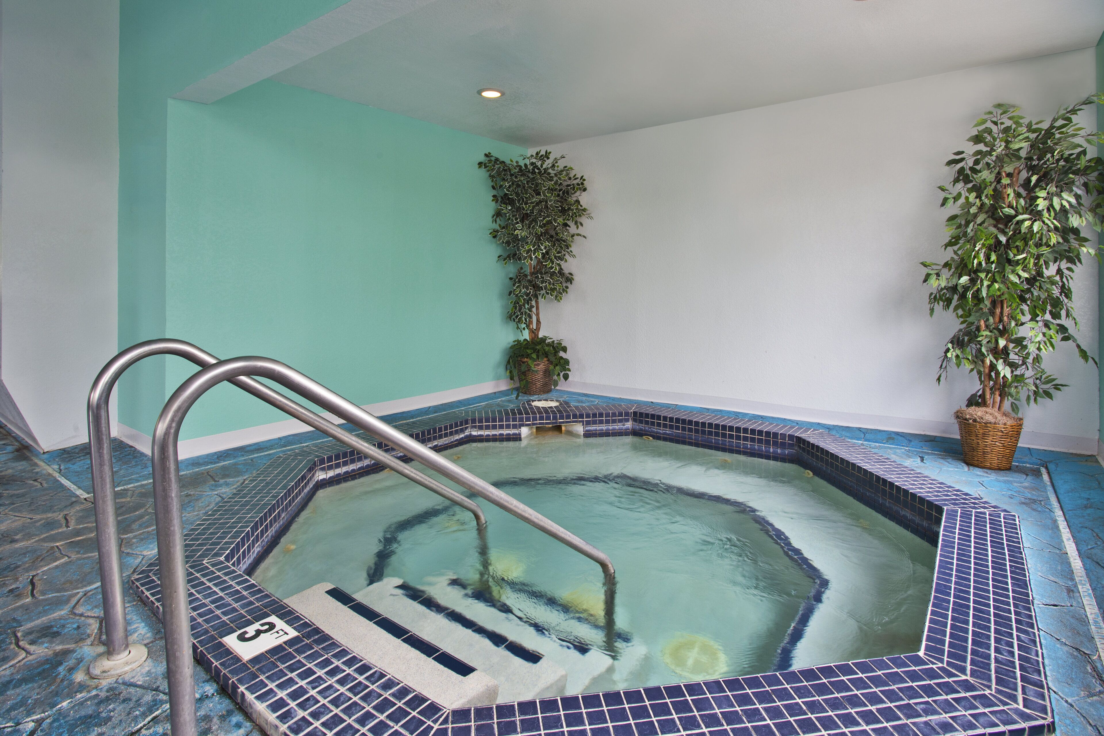 A small indoor pool with a metal ladder, tiled steps, and potted plants.