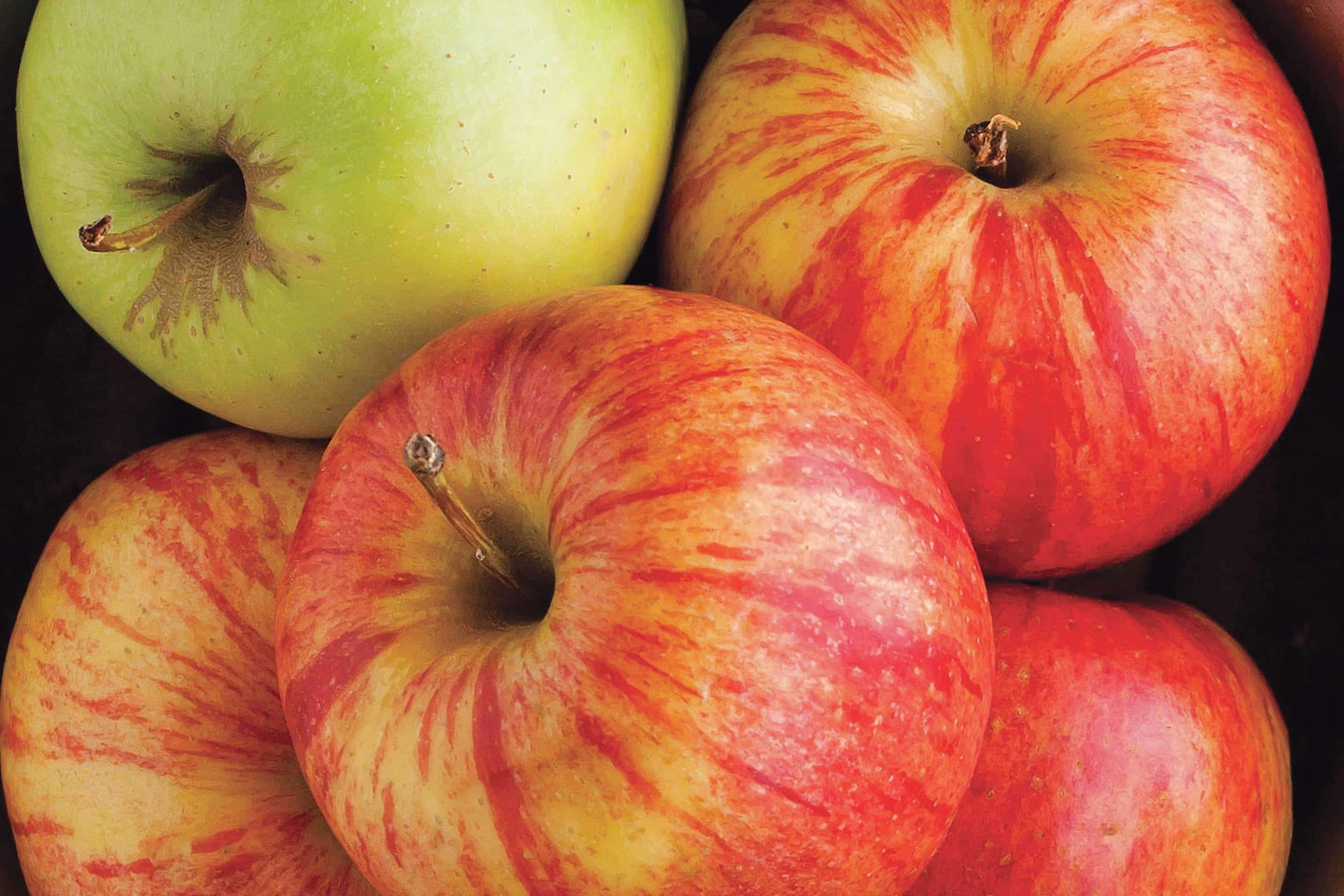 Foto - La Quinta Inn by Wyndham Fresno Yosemite