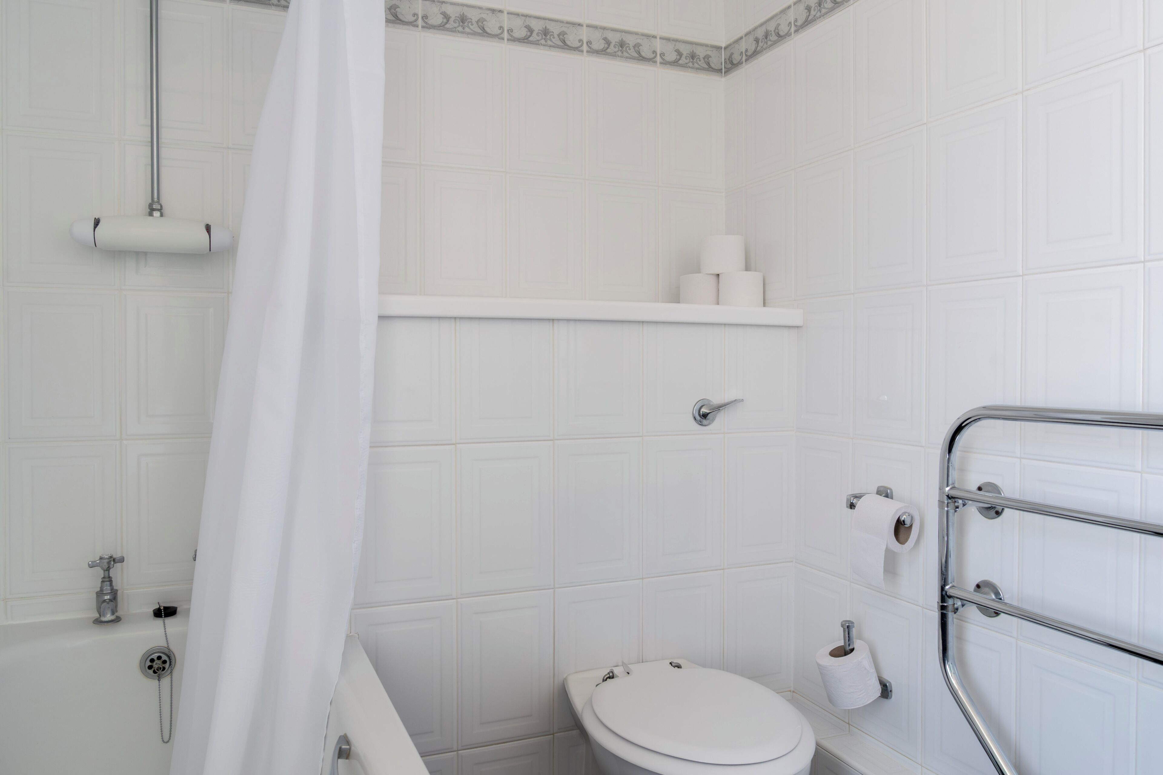 A bathroom with a toilet, a shower, and a handrail.