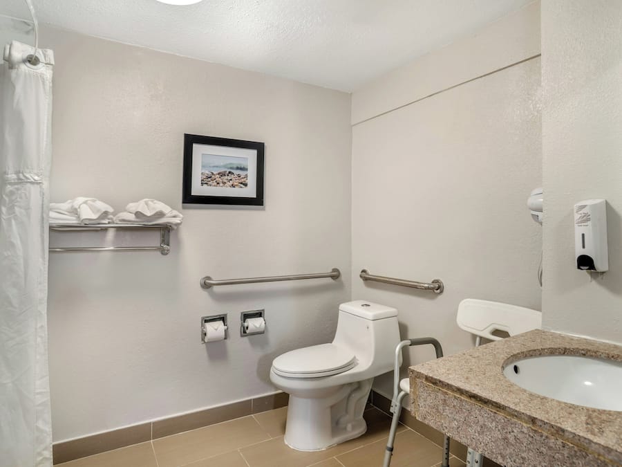 Une salle de bain équipée de toilettes, de barres d’appui, d’un lavabo et d’un rideau de douche.