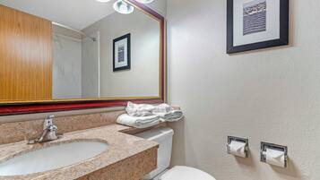 Un baño con lavamanos, espejo, inodoro y toallero.