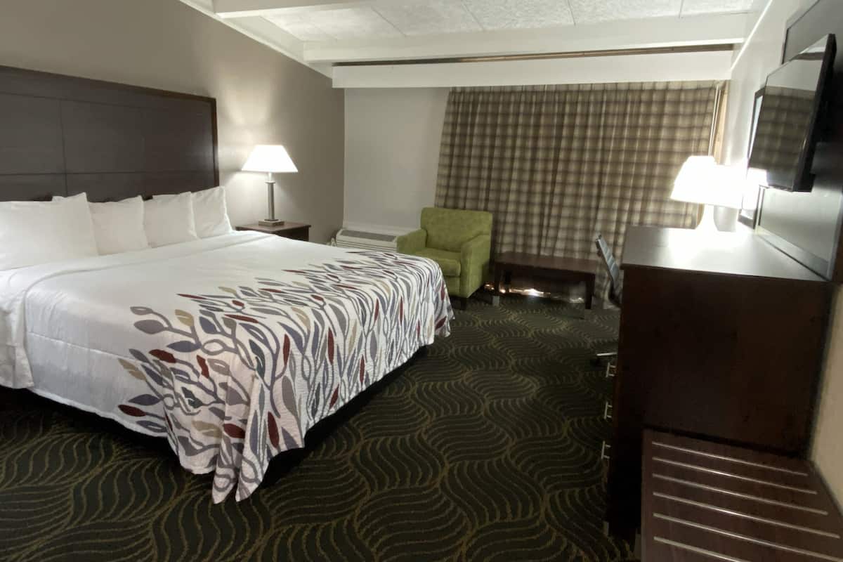 Superior Room, 1 King Bed, Non Smoking