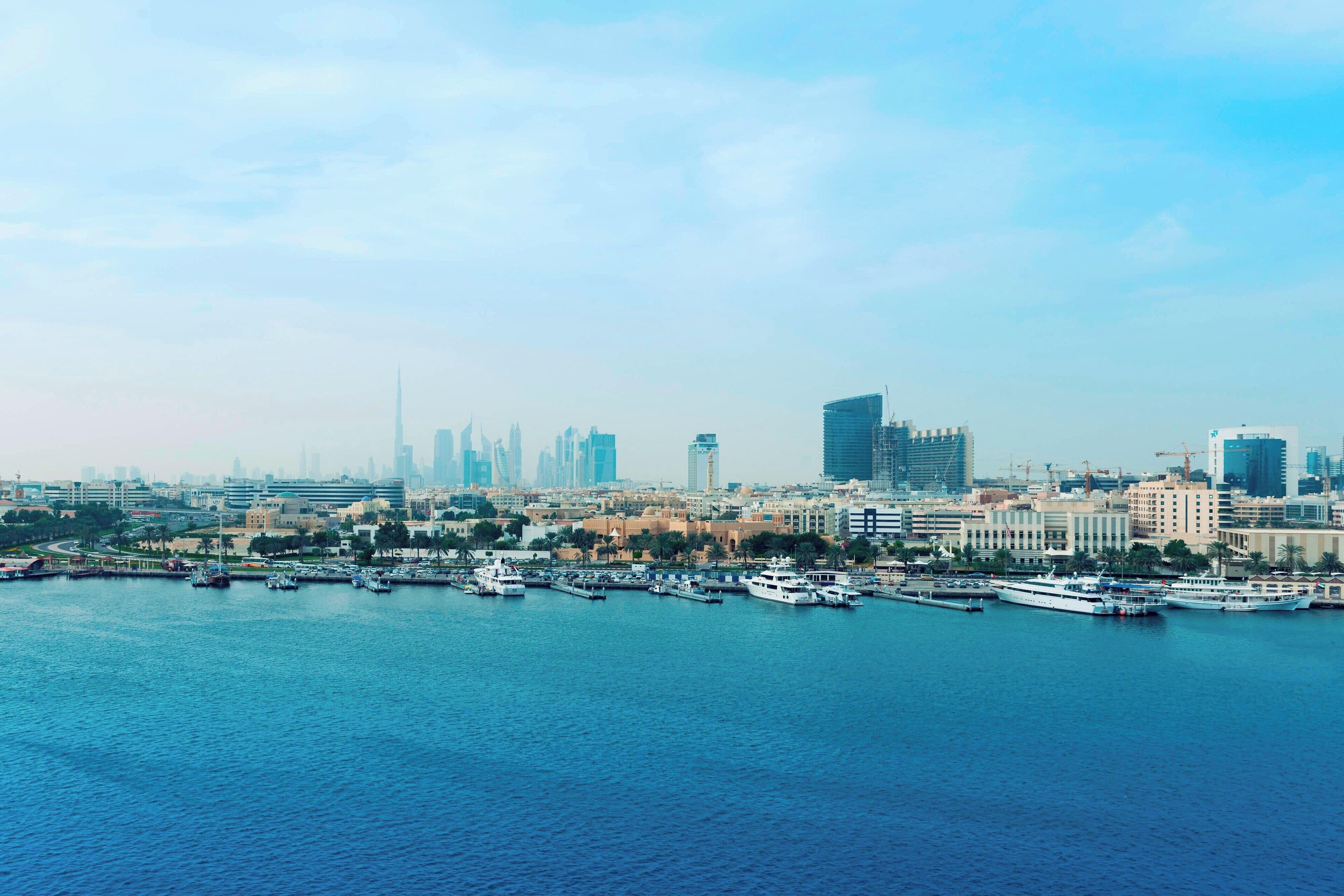 A marina with boats docked, a city skyline in the background, and a clear sky.