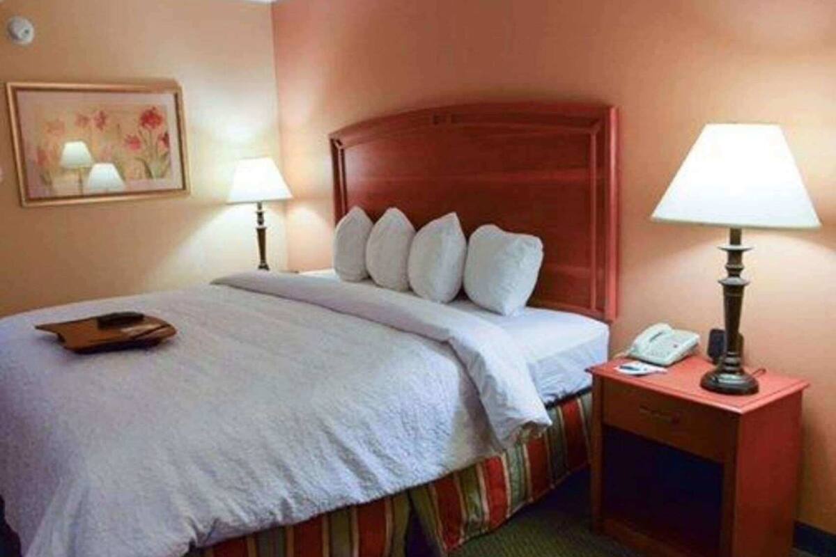A hotel room with a bed, two bedside lamps, a nightstand with a phone, and a painting on the wall.