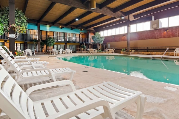 Indoor pool, sun loungers