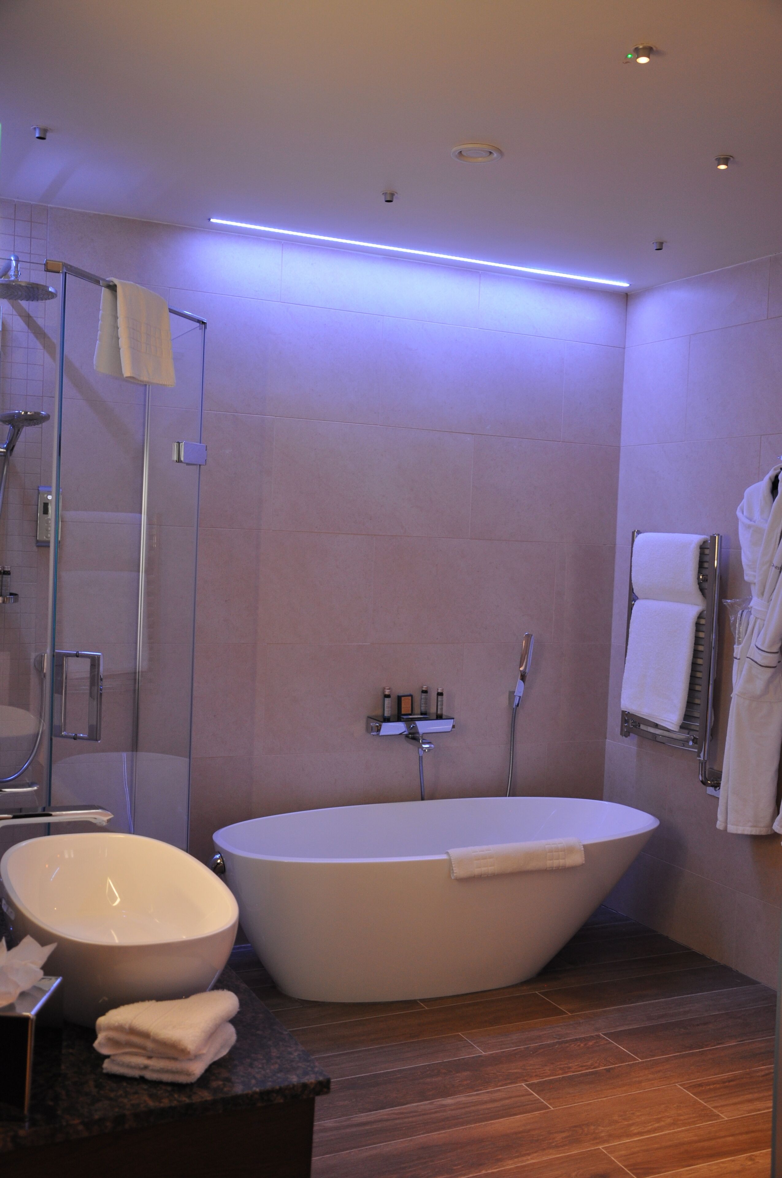 junior suite | bathroom | combined shower/bathtub, free toiletries, hair dryer, bathrobes