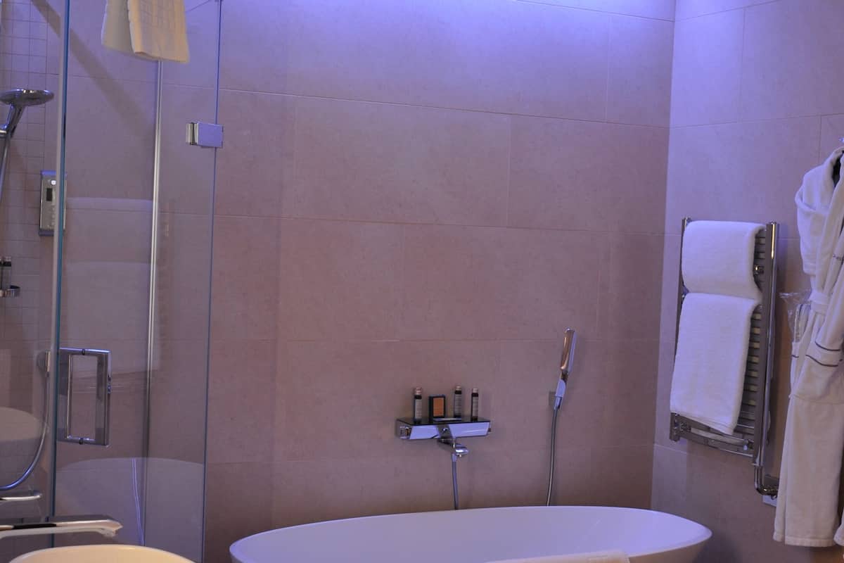 junior suite | bathroom | combined shower/bathtub, free toiletries, hair dryer, bathrobes