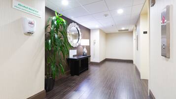A hotel hallway with a hand sanitizer dispenser, a potted plant, a mirror, and a black console table.