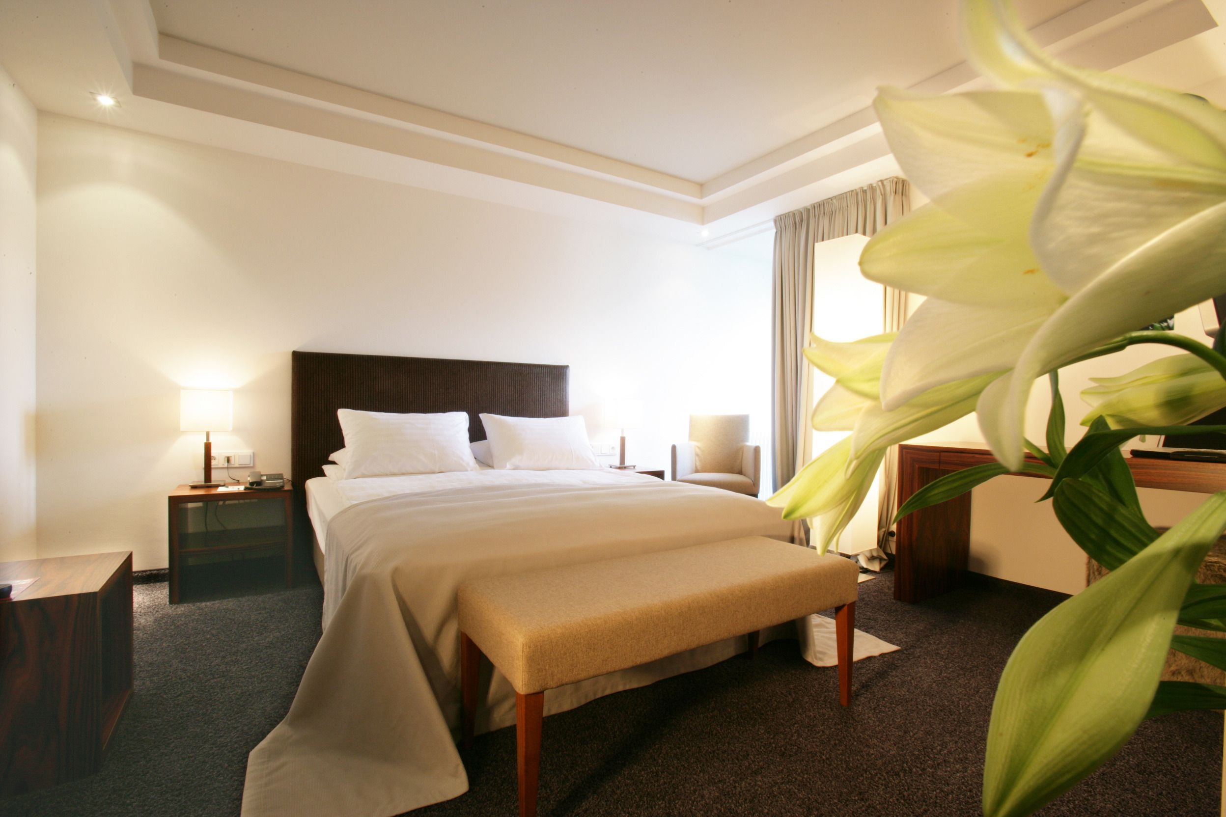 A hotel room with a large bed, bedside tables, a bench, and a potted plant.