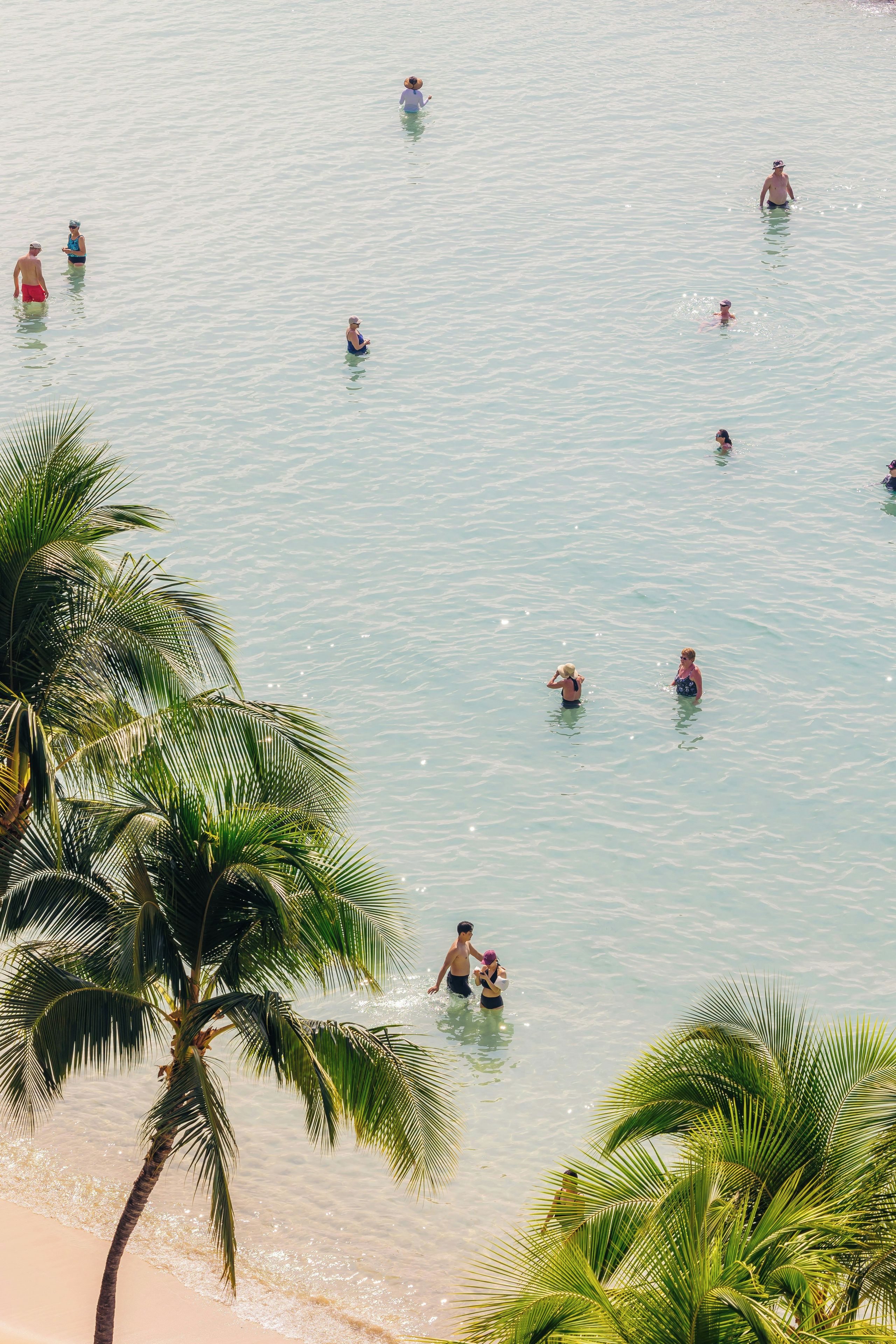 A beach scene with people swimming in the water, palm trees, and a sandy shore.