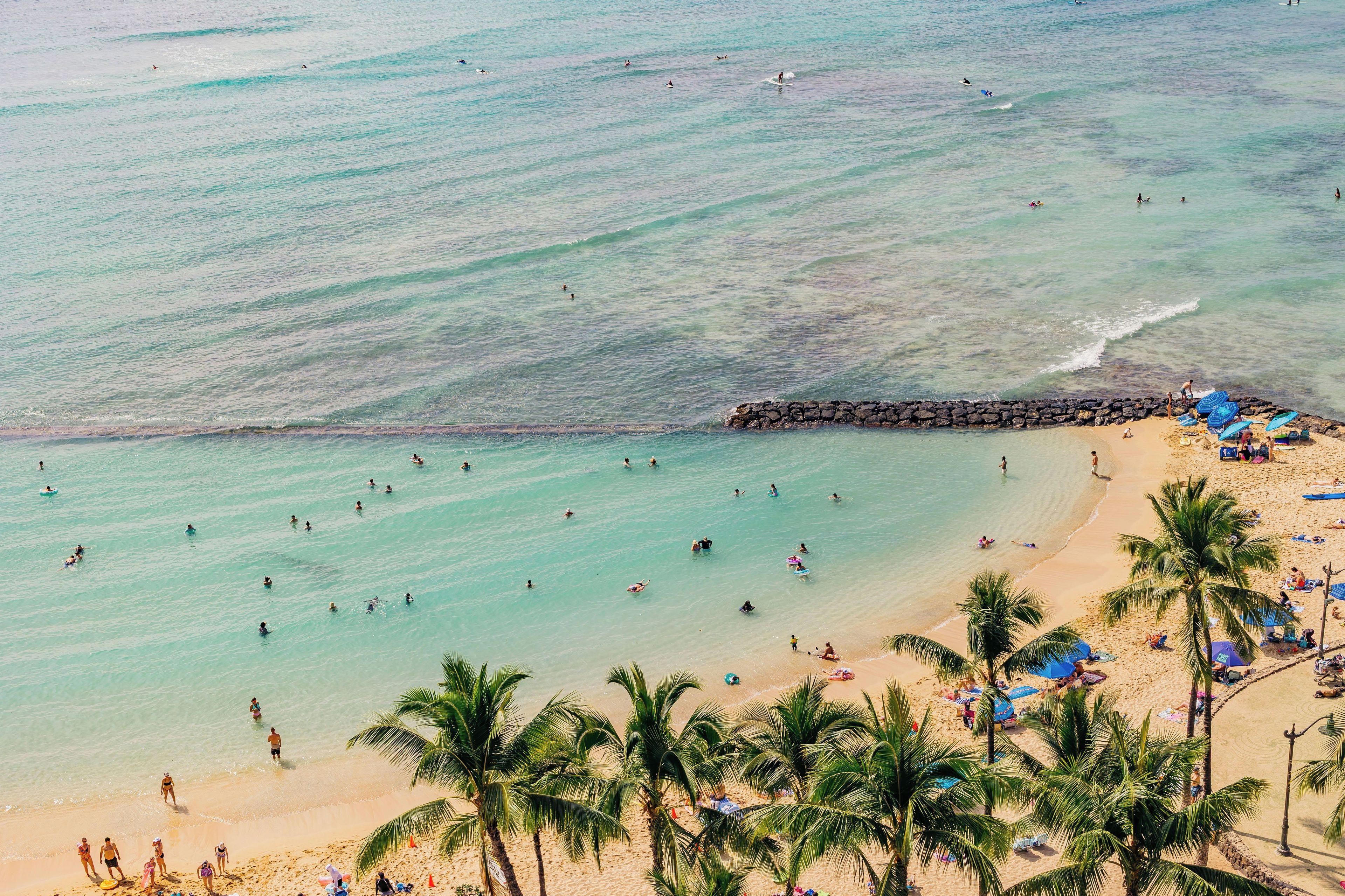A beach with clear turquoise water, palm trees, and people swimming and sunbathing.