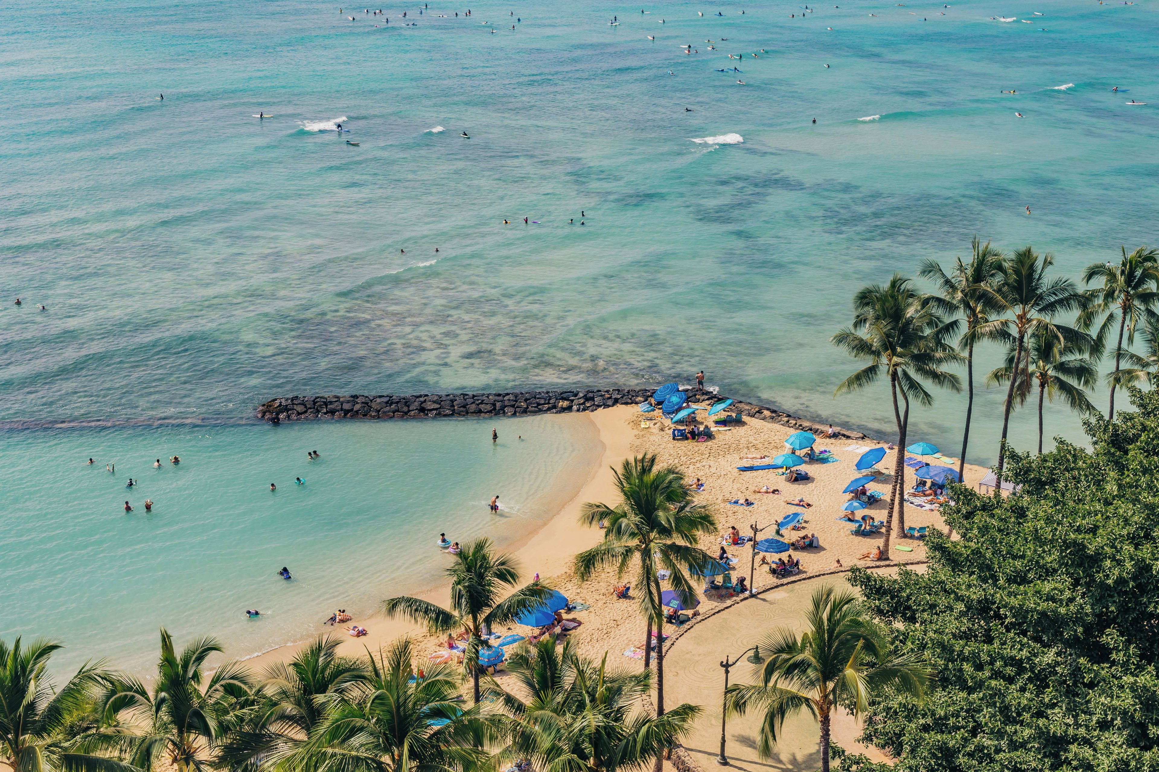 A beach with clear turquoise water, a rocky breakwater, and palm trees.